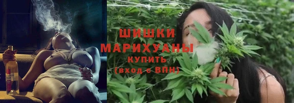 прущие крисы Вяземский