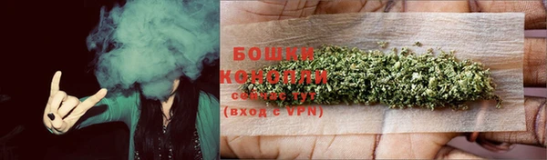 прущие крисы Вяземский