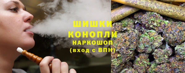 прущие крисы Вяземский