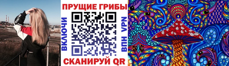 Галлюциногенные грибы Psilocybe  МЕГА ссылки  Калачинск 